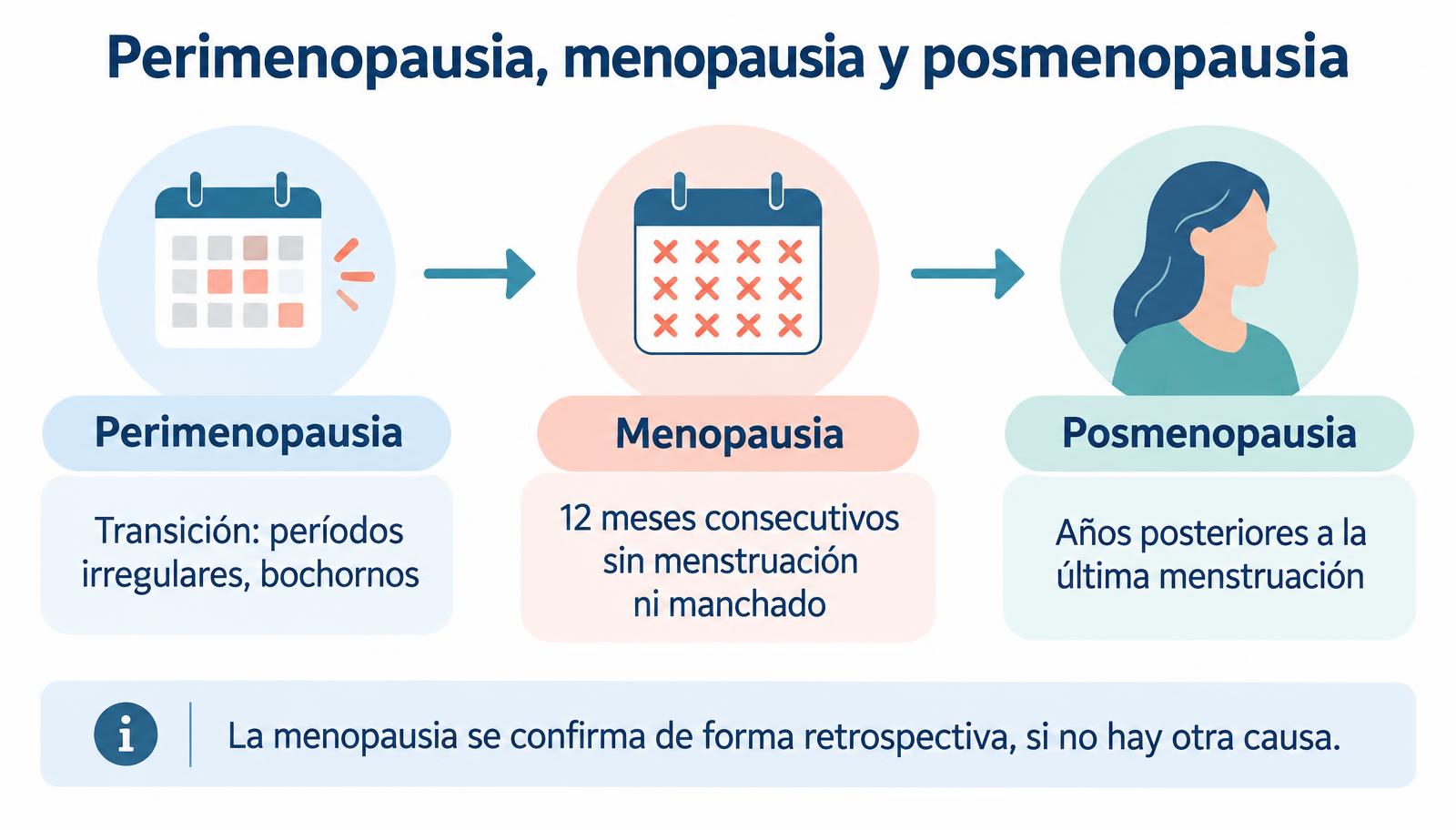 Esquema comparativo de la perimenopausia, la menopausia y la posmenopausia