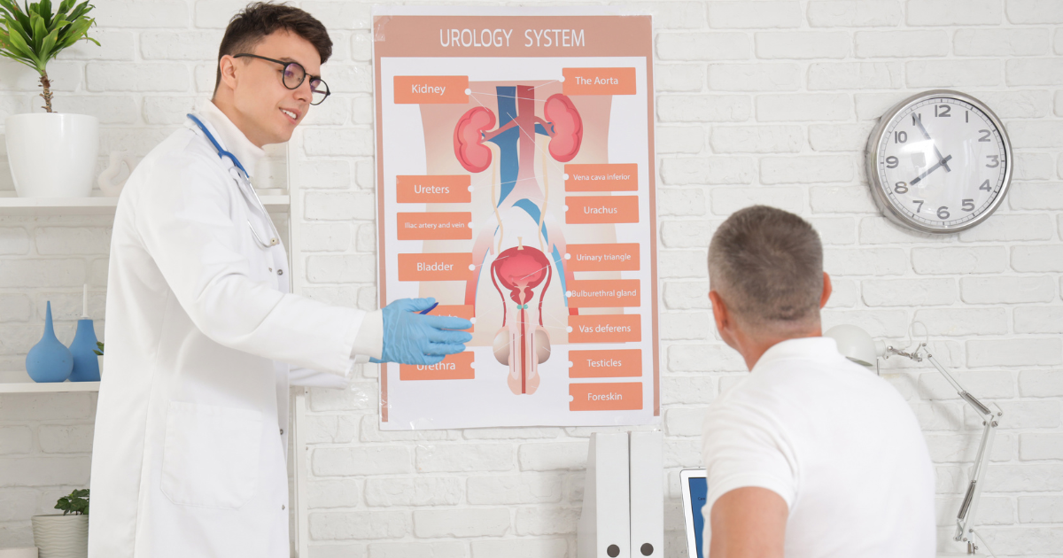 Médico explica al paciente un cartel ilustrativo del sistema urológico con riñones, vejiga y próstata.